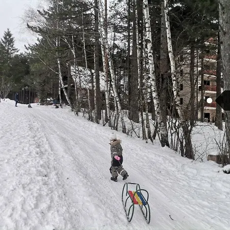 Kalina * Zlatibor